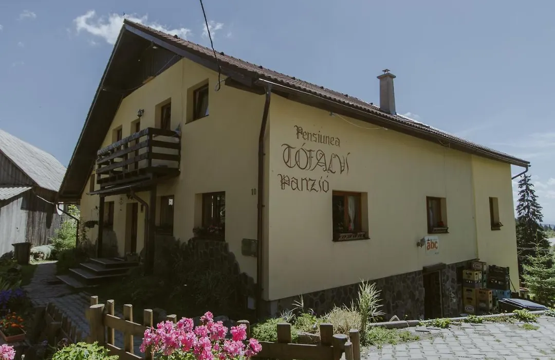 Pension Tofalvi-1